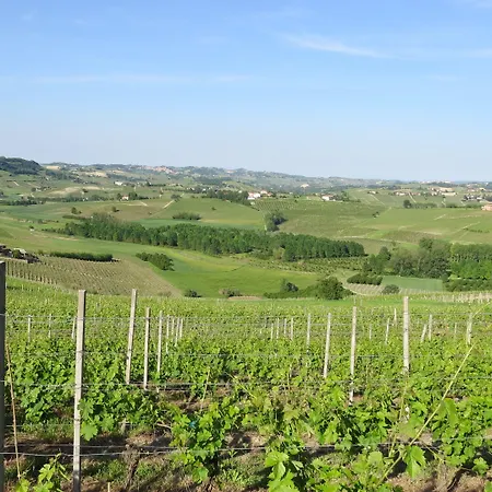 Ca' Rapulin Calosso